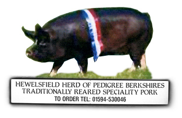 Pedigree Berkshire